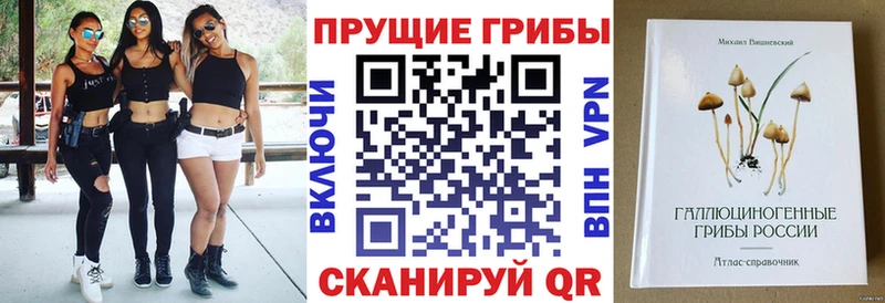 цена   Куса  Галлюциногенные грибы мухоморы 