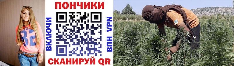 хочу   Куса  Шишки марихуана Ganja 